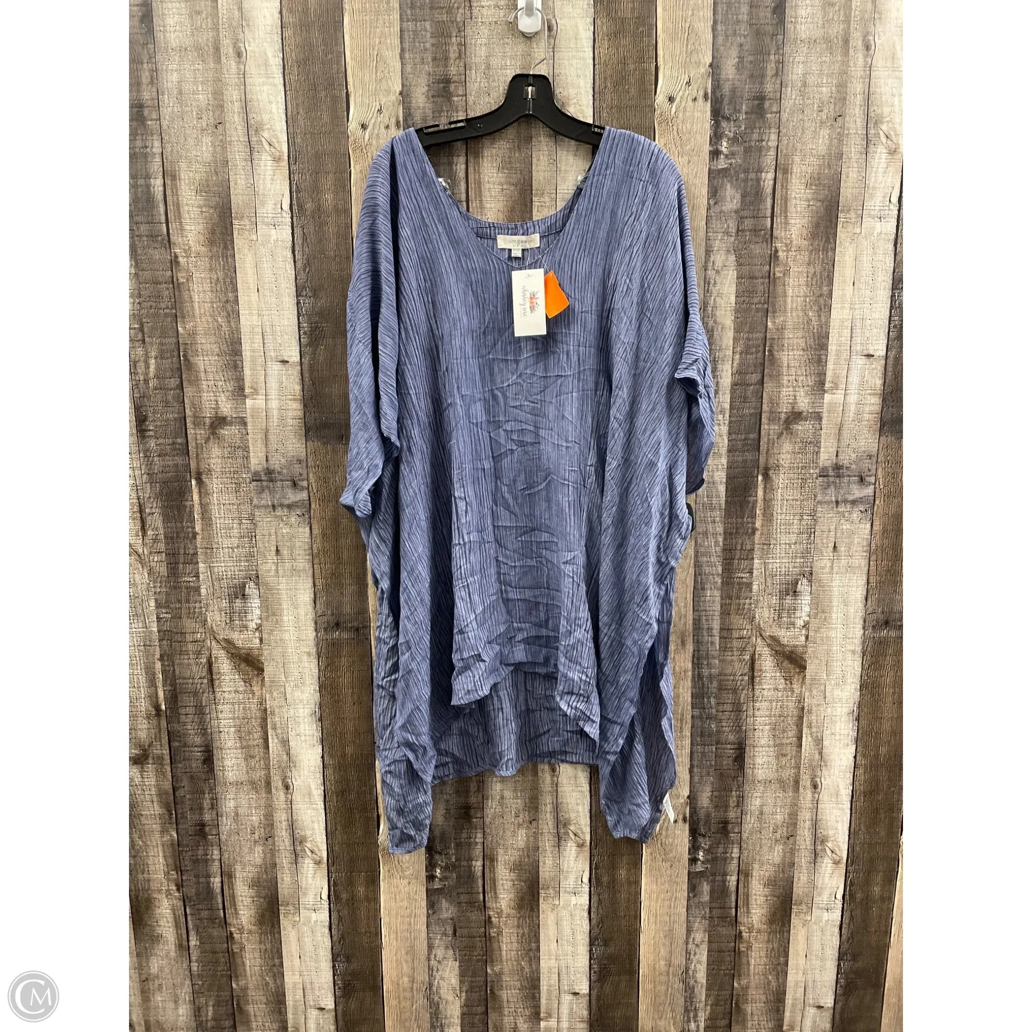 Tunic Sleeveless By Umgee In Blue, Size: 1x