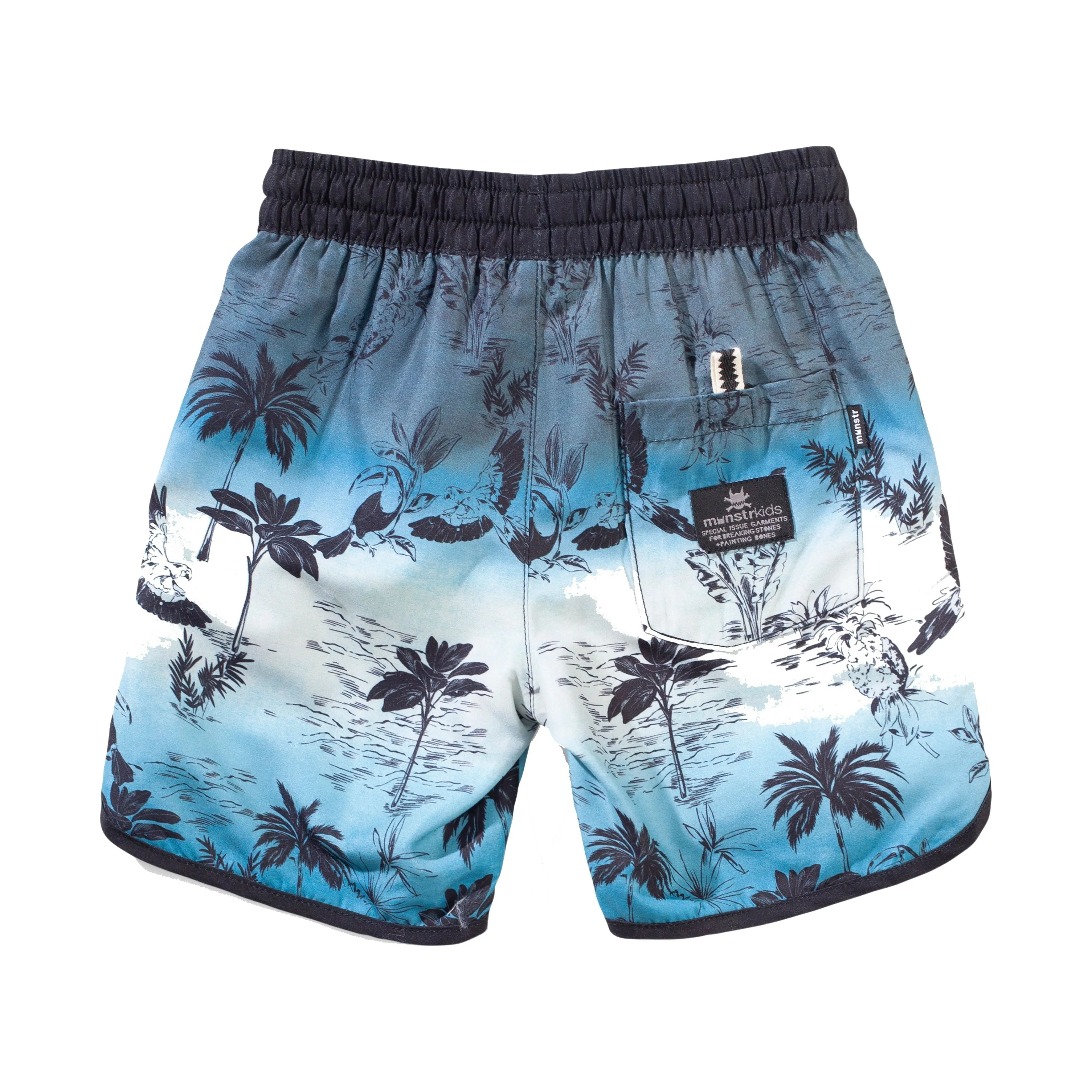 Wavesoasis Bshort - Teal